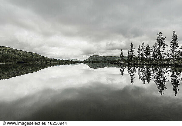 Reflections in lake