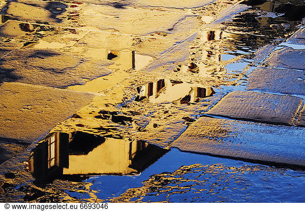 Reflections in the Paving Stones of the Piazza della Signoria