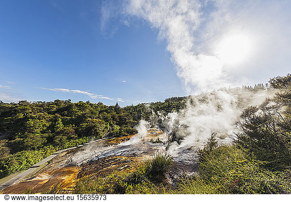 Regenbogenterrasse  Geothermischer Park Orakei Korako  Vulkanische Zone Taupo  Nordinsel  Neuseeland