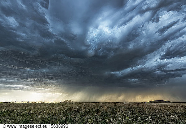 Regenfälle in der Ferne in der Prärie unter bedrohlichen Gewitterwolken; Saskatchewan  Kanada