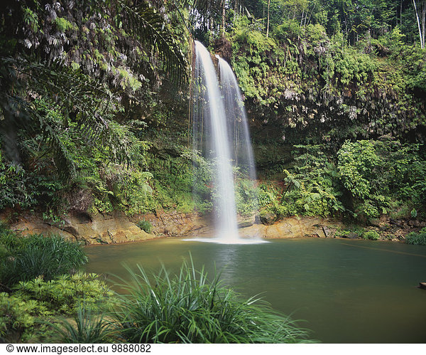 Regenwald Wasserfall Sarawak