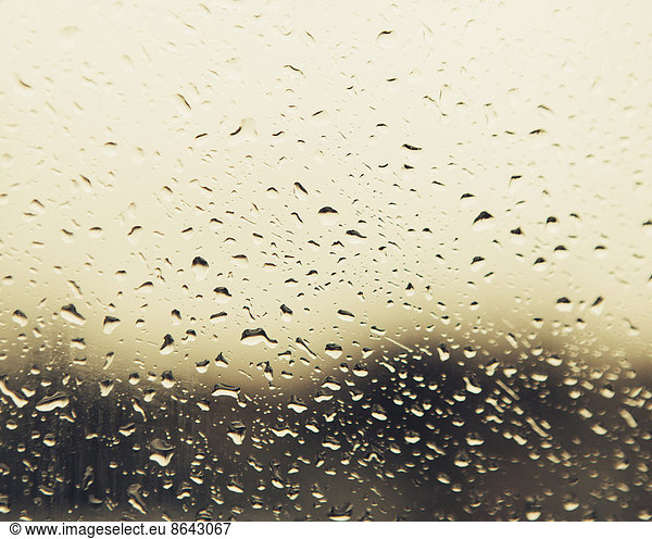 Regenwassertropfen auf einem Fenster. Blick durch das Fenster an einem regnerischen Tag. Seattle
