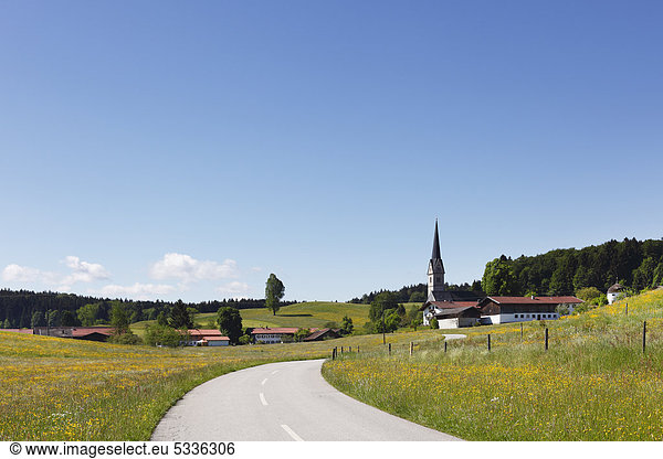 Reichersdorf Irschenberg district Oberland Upper Bavaria Bavaria Germany Europe PublicGround