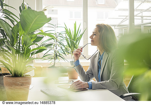 Reife Geschäftsfrau  die in einem nachhaltigen Büro arbeitet  mit Pflanzen auf ihrem Schreibtisch