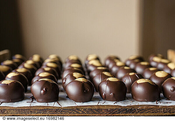 Reihen von fein säuberlich aufgereihten Schokoladenbonbons  die auf einem Holzbrett ausgebreitet sind