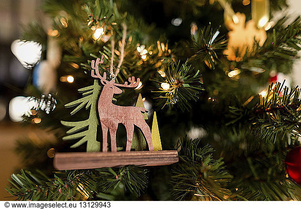 Reindeer decoration on Christmas tree at home