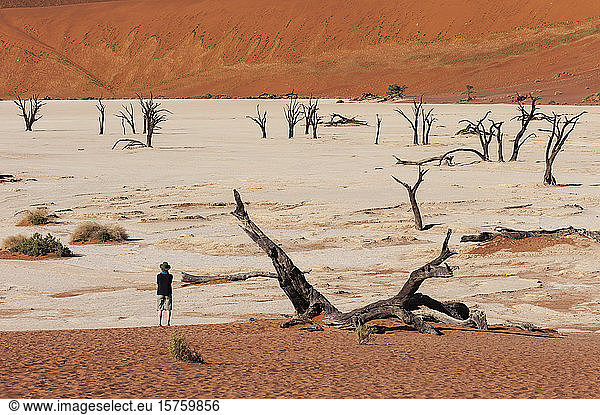 Reisender  der auf tote Bäume schaut  Deadvlei  Sossusvlei  Namib Naukluft Park  Namib Wüste  Namibia