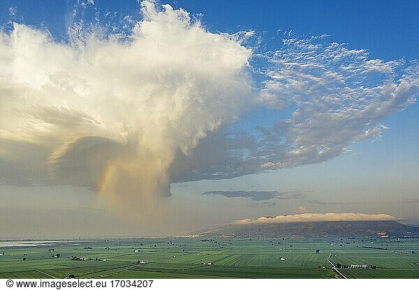 Reisfelder (Oryza sativa) und einzelne Kumuluswolken mit Regenbogen. Im Juli. Ansicht aus der Luft. Drohnenaufnahme. Naturschutzgebiet Ebro-Delta  Provinz Tarragona  Katalonien  Spanien.