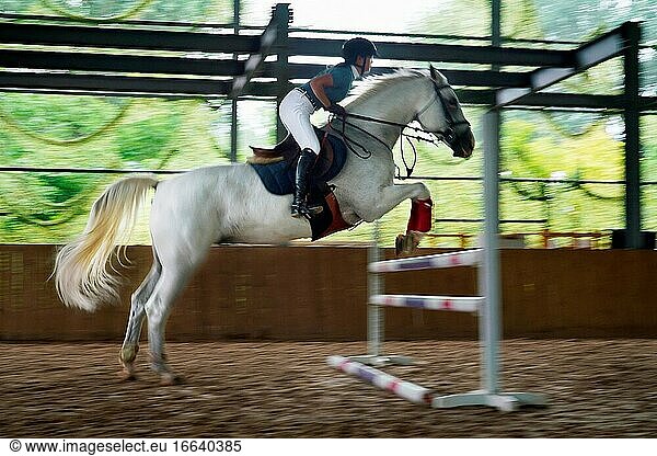 Reiten ein Pferd springen Barriere hübsches junges Mädchen