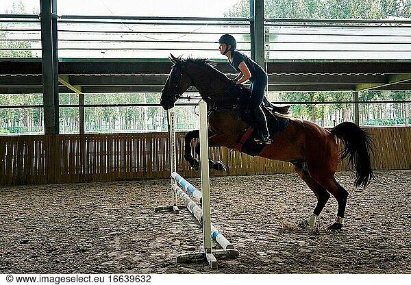 Reiten ein Pferd springen Barriere junge Frau
