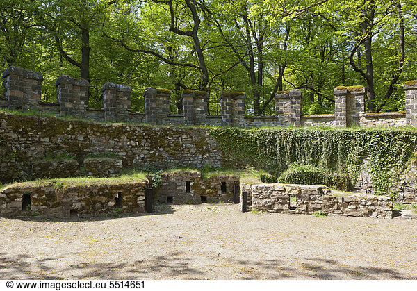 Rekonstruiertes Römerkastell Saalburg  Limes  UNESCO Weltkulturerbe  Taunus  Hessen  Deutschland  Europa