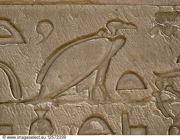 Relief an der äußeren Rückwand des Pylons der Tempelanlage von Edfu  Ägypten. Künstler: Werner Forman