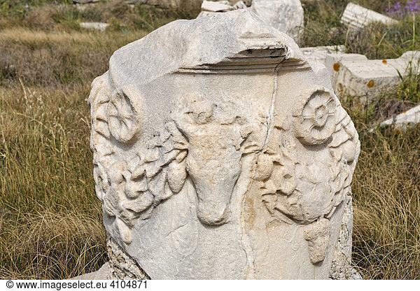 Relief mit Stierkopf oder Bukranion  Delos  Griechenland