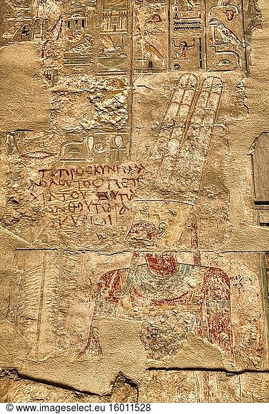 Reliefs  Heiligtum des Amun-Re  Totentempel der Hatschepsut (Deir el-Bahri)  UNESCO-Weltkulturerbe  Luxor  Ägypten