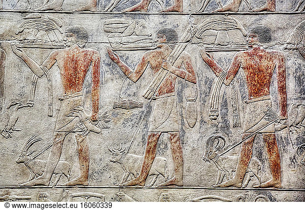 Reliefs  Mastaba von Kagemni  Nekropole von Saqqara  UNESCO-Weltkulturerbe; Saqqara  Ägypten