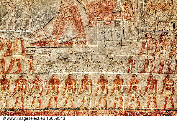 Reliefs  Mastaba von Mereruka  Nekropole von Saqqara  UNESCO-Weltkulturerbe; Saqqara  Ägypten