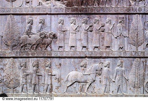 Reliefs on terrace walls of Apadana Palace of Emperor Darius the Great  Persepolis archaeological site  Iran.