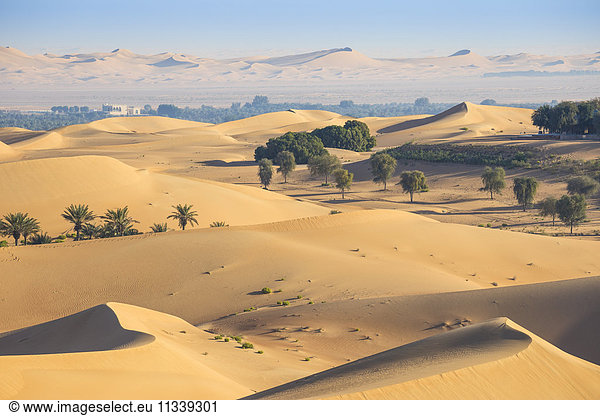 Remah Desert  Al Ain  Abu Dhabi  United Arab Emirates  Middle East