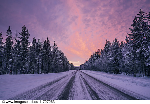 Remote winter road through snow covered forest trees against dramatic purple and pink sky  Lapland  Finland