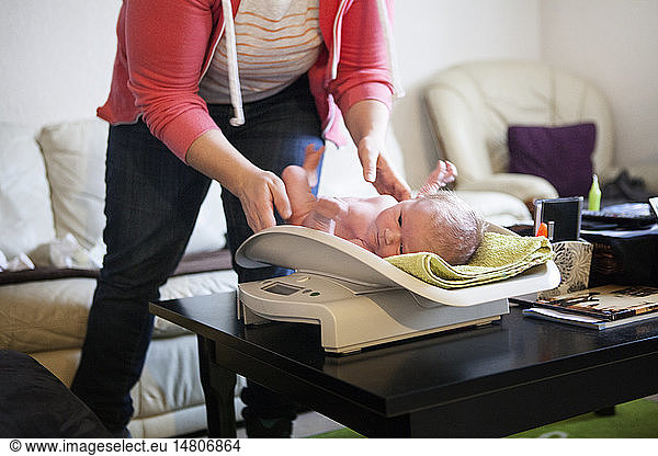 Reportage on an independent midwife during post-partum home visits. The midwife weighs the newborn baby.