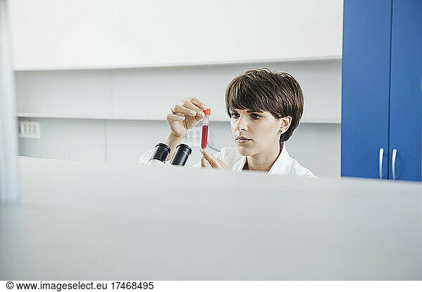 Researcher checking medical sample in laboratory