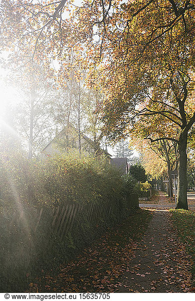 Residential area in autumn  Berlin  Germany