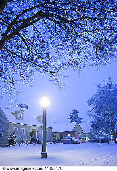 Residential Street in Winter