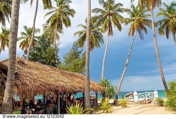 Restaurant and palmtrees at the beach of Trincomalee  Sri Lanka