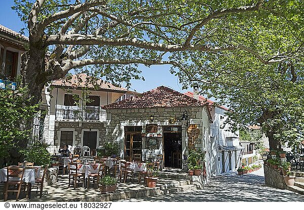 Restaurants unter alten Platanen  Kosmas  Arkadien  Peloponnes  Griechenland  Parnon-Gebirge  Europa