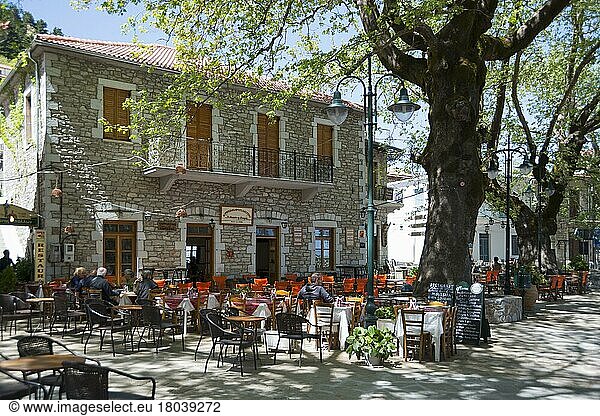 Restaurants unter alten Platanen  Kosmas  Arkadien  Peloponnes  Griechenland  Parnon-Gebirge  Europa