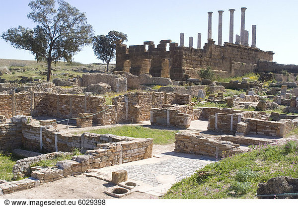 Reste der Villen liegen unter dem Capitolium  römische Ruinen von Thuburbo Majus  Tunesien  Nordafrika  Afrika