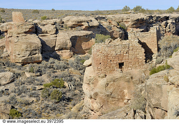Reste historischer Bauten der Ancestral Puebloans  vorne Unit Type House  links hinten Tower Point  um 1200 n. Chr.  Little Ruin Canyon  Hovenweep National Monument  Colorado  USA