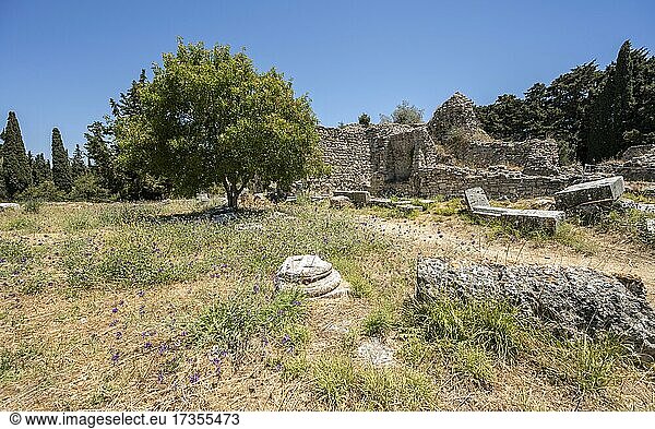 Reste von Gebäuden  Ruinen des römischen Heiltempels Asklepieion  Kos  Dodekanes  Griechenland  Europa