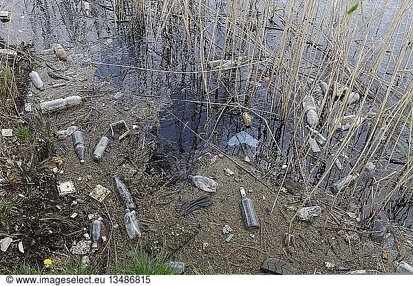 Restmüll und Glasflaschen am Ufer der Peene  Müll in der Natur  Naturpark Peental  Mecklenburg-Vorpommern  Deutschland  Europa