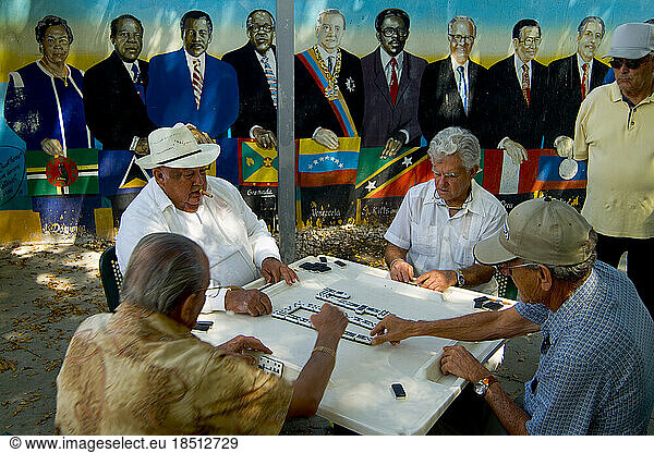 Retired local men playing dominoes in Little Havana Miami