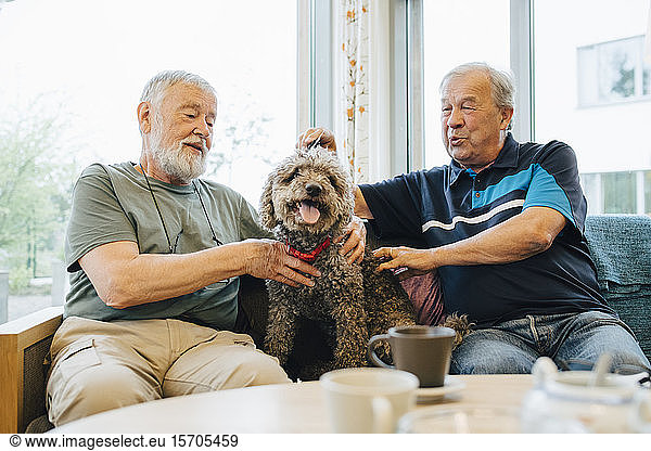 Retired senior male friends talking while stroking pet sitting on sofa at elderly nursing home