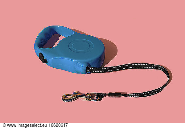 Retractable pet leash on colored background