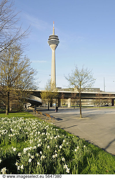 Rheinturm  Fernsehturm  Promenade  Brücke  Düsseldorf  Nordrhein-Westfalen  Deutschland  Europa