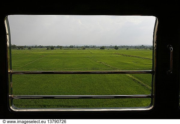 Rice field seen from the Eastern & Oriental Express train   Thailand.