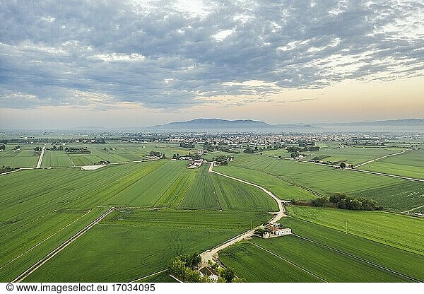 Rice fields (Oryza sativa) in July. In the background the village of Deltebre. Aerial view. Drone shot. Ebro Delta Nature Reserve  Tarragona province  Catalonia  Spain.