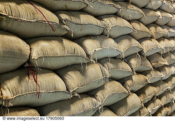 Rice grain sacks in warehouse