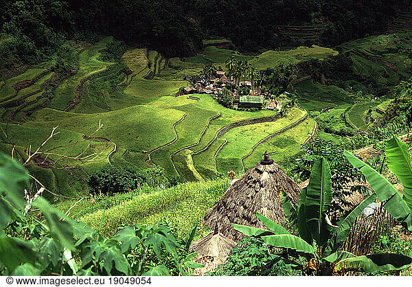 Rice terraces and village