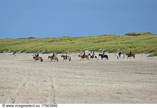 Riders in sand dunes  Ringkøbing Fjord  Jutland  Denmark  Europe