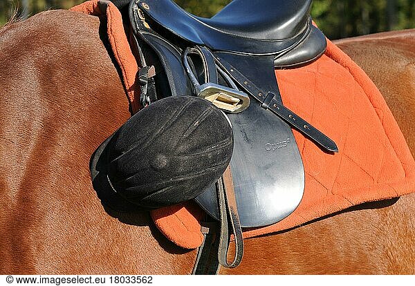 Riding equipment  saddle  riding helmet  stirrups  saddle pad