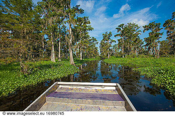Riding on an Airboat in Des Allemands  Louisiana