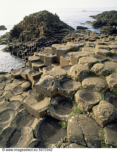 Riesen Causeway  UNESCO-Weltkulturerbe  County Antrim  Ulster  Nordirland  Vereinigtes Königreich  Europa