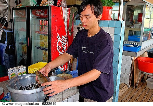 Riesen-Süßwassergarnele  Lebensmittelmarkt Bintulu  Abteilung Bintulu  Sarawak  Malaysia  Asien