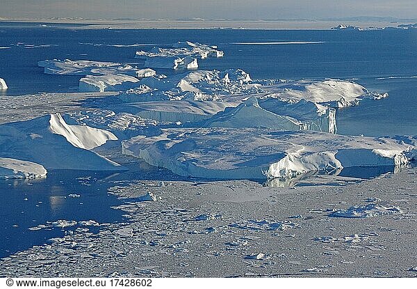 Riesige Eisberge  weite Bucht  Flugaufnahme  Ilulissat  Diskobucht  Westgrönland  Grönland  Dänemark  Nordamerika