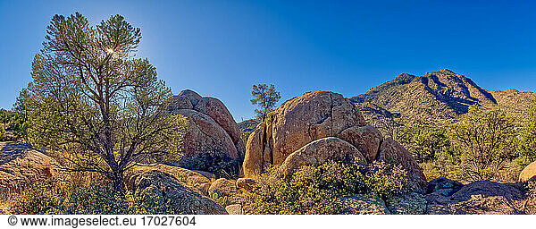Riesige Felsbrocken entlang des Trail 345 in der Granite Mountain Recreation Area des Prescott National Forest  Arizona  Vereinigte Staaten von Amerika  Nordamerika