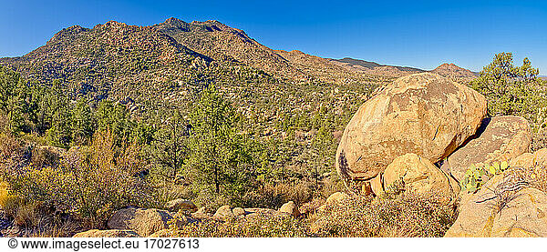 Riesige Felsbrocken entlang des Trail 345 in der Granite Mountain Recreation Area des Prescott National Forest  Arizona  Vereinigte Staaten von Amerika  Nordamerika